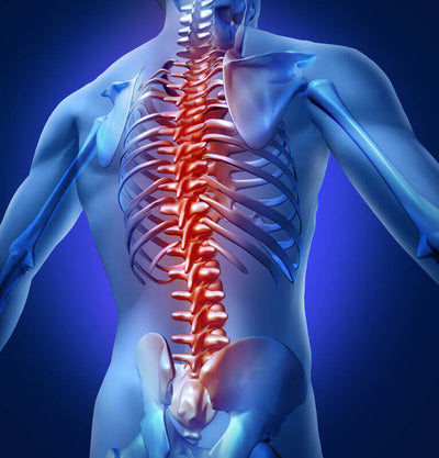 Back Pain: Common Causes - Symptoms and Treatment